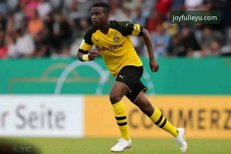 新星崛起观察指南：多特蒙德如何锁定美国天才赫扎尔哈尼