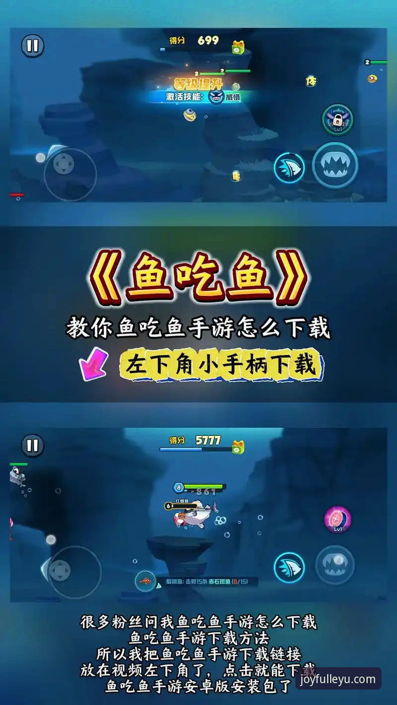 乐鱼怎么样攻略 如何通过乐鱼怎么样攻略开启专业娱乐新体验?